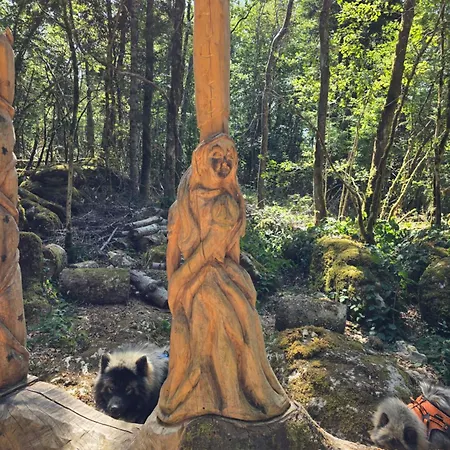 La Maison Des Eurasiers * Puilaurens