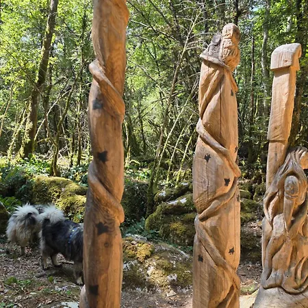La Maison Des Eurasiers شقة Puilaurens