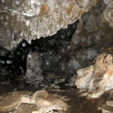 La Maison Des Eurasiers شقة Puilaurens