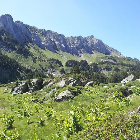 La Maison Des Eurasiers