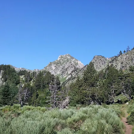 La Maison Des Eurasiers * Puilaurens